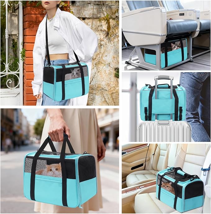 JUNGYOUN Premium ​Cat Carrier - ​Pet Carrier for Cat & Small Dogs up to 15lbs - ​Airline Approved Travel Dog Carrier with Anti-Escape Zippers, Collapsible Travel Bowl & Padded Strap - Image 3