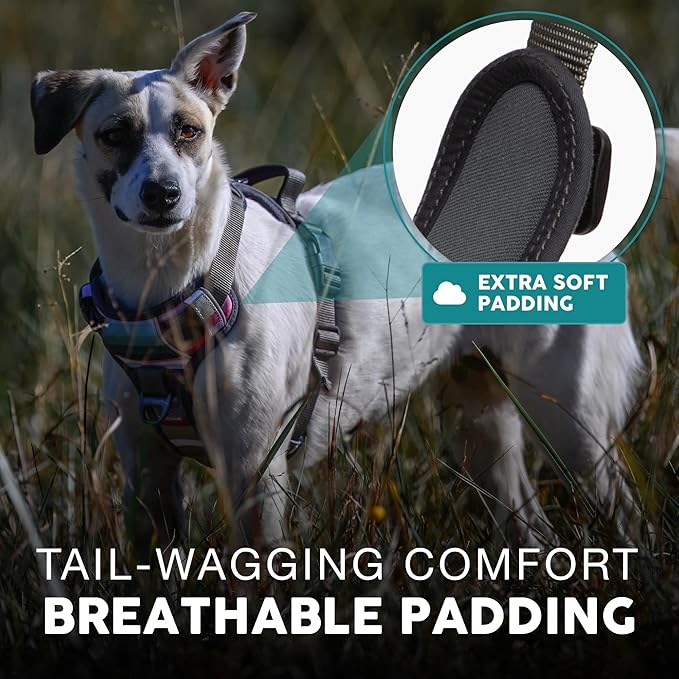 Embark No Pull Dog Harness, Reflective Adjustable Training Vest, No Choke | Adjustable straps fit all dog breeds with sturdy hooks; 360° reflective trim, soft padded Harness Design for All Dogs - Image 4