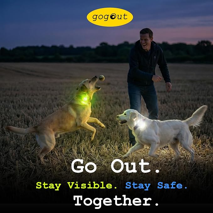 Dog Collar Light, Rechargeable LED Dog Safety Light for Night Walking, Clip-On or Strap-On Pet Light for Collar, Harness and Leash, High Visibility, Water-Resistant, USB-C, Blue - Image 9