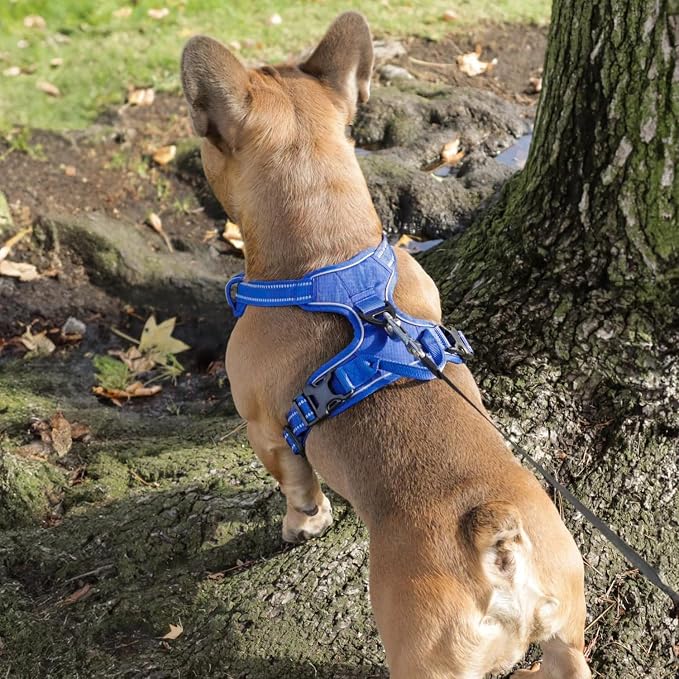Voyager Dual Attachment No Pull Harness - Royal Blue, X-Small | 13 - 16" in Chest, No Pull Dog Harness, Fully Adjustable, 3M Reflective Technology, Front & Back D-Rings, Walking & Training - Image 9