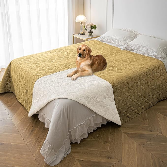Waterproof Couch Cover for Dogs - Washable Pets Furniture Protector | TPU Leak-Proof Liner, Lightweight & Reversible, Fits Chair, Sofa, Bed, 82" x 102" , Sand/Cream by TuffeelHome