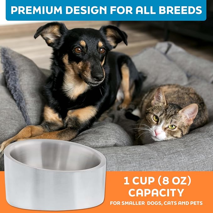 Master Pet Supply Stainless Steel Slanted Dog Cat Food Bowl 8 oz Stainless | Heavy Duty Double Wall Insulated, Non-Slip Elevated Bowl for French Bulldogs, Pugs, Cats, Anti Rust, Dishwasher Safe - Image 7
