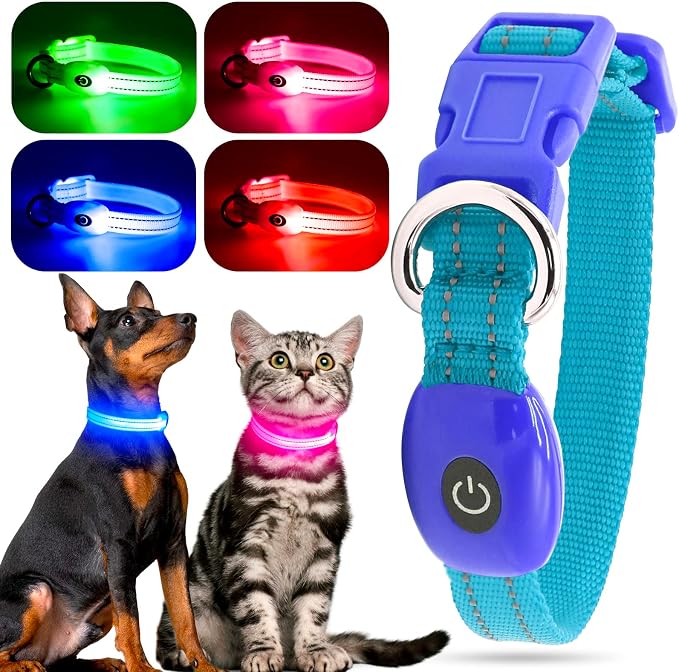 YFbrite LED Dog Collar XS, Lightweight Cat Collar Light, Comfortable Light Up Puppy Collars, USB Rechargeable Adjustable Puppy Walking Safety Light (Blue, XS) by YFbrite