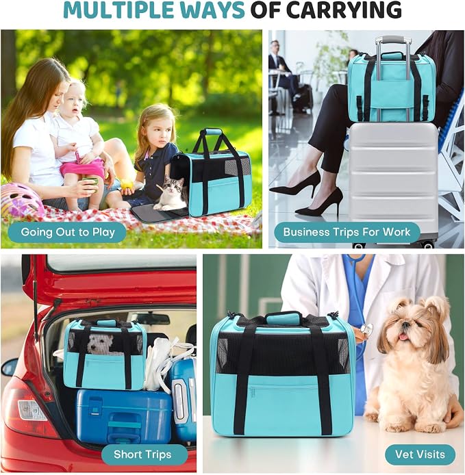 JUNGYOUN Premium ​Cat Carrier - ​Pet Carrier for Cat & Small Dogs up to 15lbs - ​Airline Approved Travel Dog Carrier with Anti-Escape Zippers, Collapsible Travel Bowl & Padded Strap - Image 2