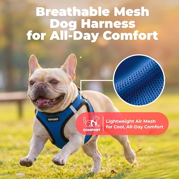 Voyager Step-in Air Dog Vest Harness - Royal Blue/Black Trim, Small | 14.5-16" in Chest, Reflective Bands, All Weather Breathable Air Mesh, Cats Compatible, Lightweight, Fast Drying - Image 5