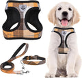 PUPTECK Dog Harness, Collar and Leash Set No Pull for Small Medium Sized | Plaid Puppy Step-in Escape Proof Reflective No Choke Pet Cat Adjustable Walking Vest by PUPTECK