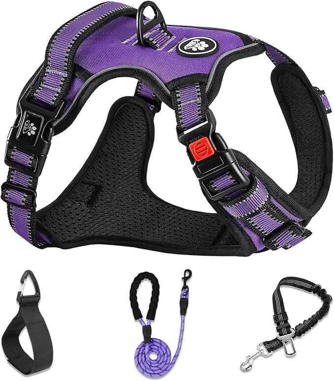 NESTROAD No Pull Dog Harness,Adjustable Oxford Dog Vest Harness with Leash,Reflective No-Choke Pet Harness with Easy Control Soft Handle for Large Dogs(Large,Purple) by NESTROAD