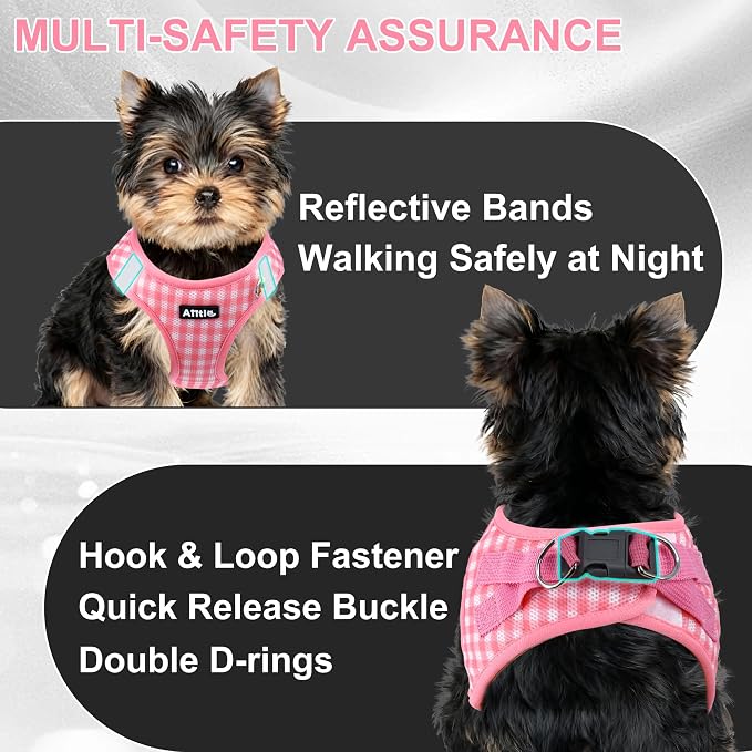 AIITLE Step in Small Dog Harness and Leash Set, Pet Vest, Watermelon XS | Breathable Mesh, Adjustable Fit, No-Pull Reflective Design, Escape Proof, for Small-Medium Dogs, Outdoor Walking, Running - Image 8