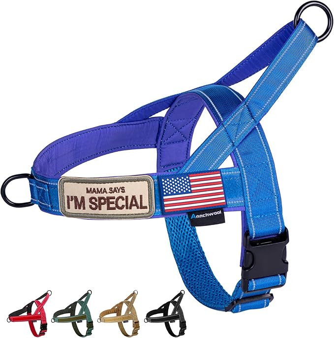 Annchwool No Pull Dog Harness with Soft Padded Handle-Reflective Strip Escape Proof and Quick Fit to Adjust Dog Harness-Easy for Training Walking for Small & Medium and Large Dogs(Blue,XS,1 in Width) by Annchwool