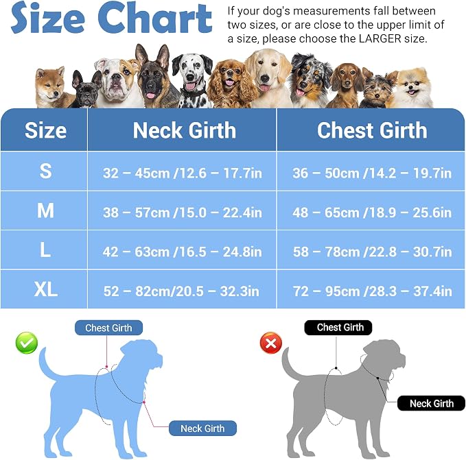 Dog Harness No Pull, Adjustable Pet Vest Harness, Super Soft Material with Vertical Handle Easy Control, Reflective Night Walking, 2 Leash Clips for Medium Sized Dogs, Mosaic Blue, M - Image 2