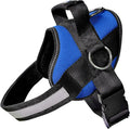 Joyride Basic Dog Harness 1.0 | Blue Serenity | M | Adjustable pet vest with 3 side leash rings for training, walking and improved control for small, medium or large dogs by JoyrideHarness