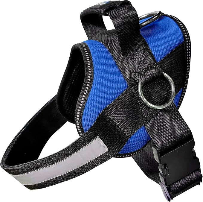 Joyride Basic Dog Harness 1.0 | Blue Serenity | M | Adjustable pet vest with 3 side leash rings for training, walking and improved control for small, medium or large dogs by JoyrideHarness