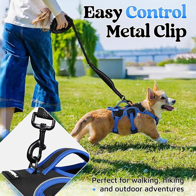 rabbitgoo Escape Proof Dog Harness for Small, No Pull with Lift Handle | No Escape, Full Soft Padded, Reflective Adjustable Vest, Leash Clip for Walking Hiking Training, Blue & Black, Small - Image 6