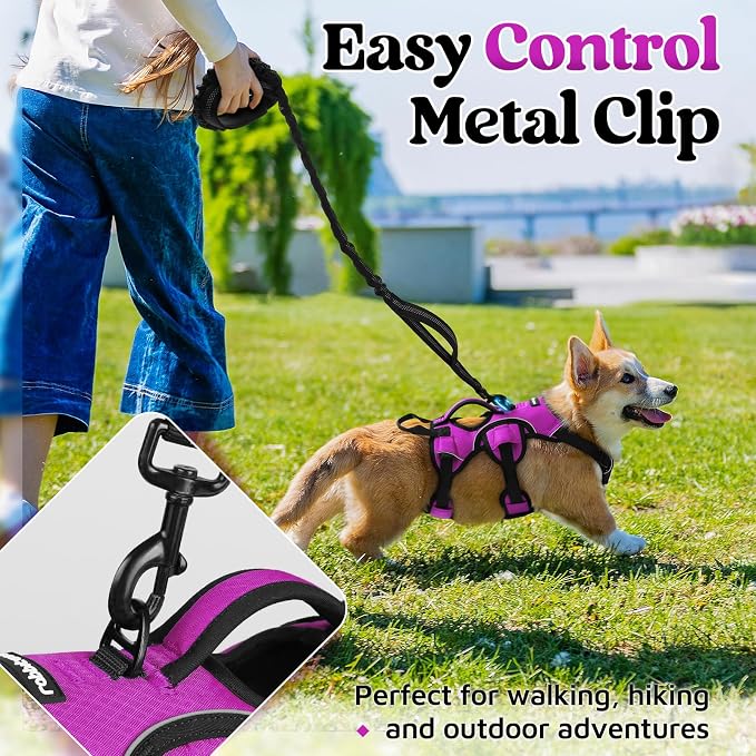rabbitgoo Escape Proof Dog Harness for Small, No Pull with Lift Handle | No Escape, Full Soft Padded, Reflective Adjustable Vest, Leash Clip for Walking Hiking Training, Purple, Small - Image 5