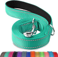 Joytale Reflective Dog Leash for Medium & Large Dogs, 5 FT x 1", Turquoise | Heavy Duty Nylon Webbing, Padded Handle for Comfort, Visible at Night, for Walking & Training by Joytale
