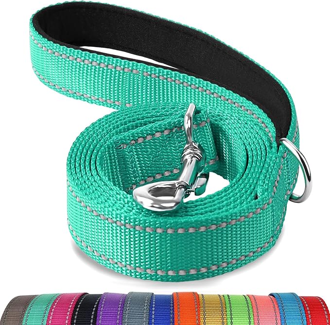Joytale Reflective Dog Leash for Medium & Large Dogs, 5 FT x 1", Turquoise | Heavy Duty Nylon Webbing, Padded Handle for Comfort, Visible at Night, for Walking & Training by Joytale