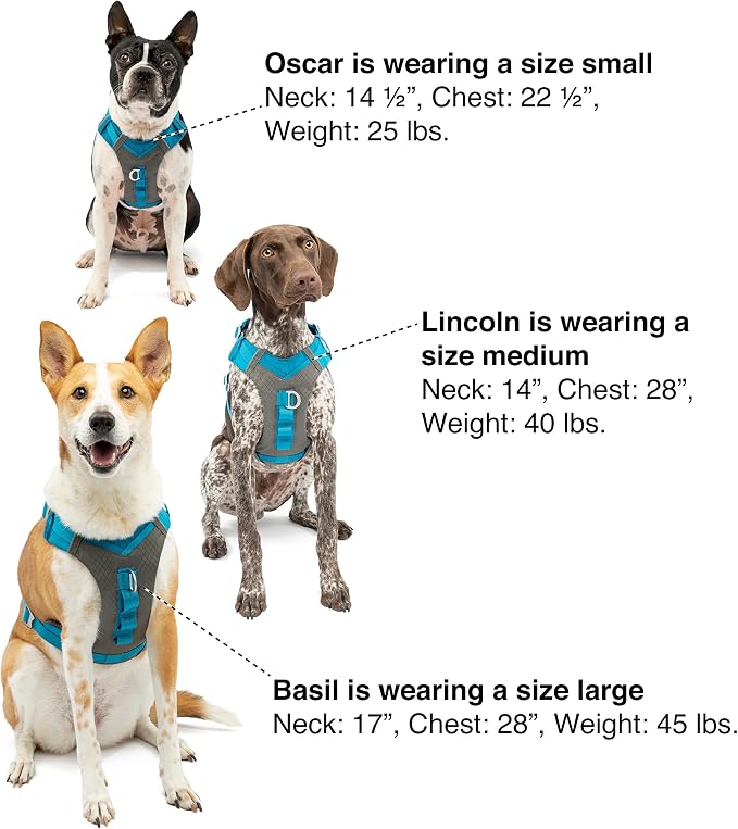 Kurgo Journey Air Dog Harness, Orange, Medium | Padded Chest, Ripstop Outer & Breathable Mesh, Back Assist Handle, Rust-Free Aluminum Hardware, Reflective Trim - Image 6