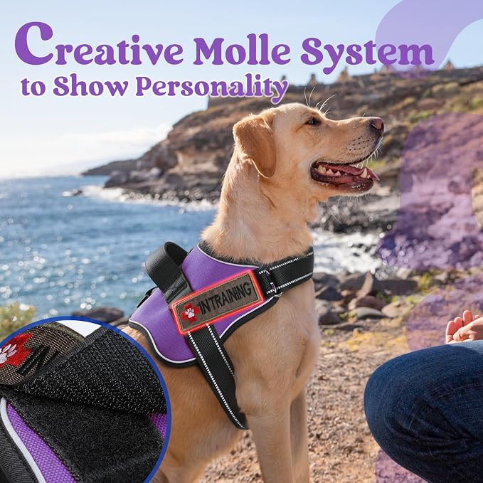 rabbitgoo No Pull No Choke Pet Vest, Adjustable Pet Harness with Molle | Medium Sized Dog Harness, Reflective, Easy Wearing with One Buckle for Walking, Training, Purple, M - Image 4