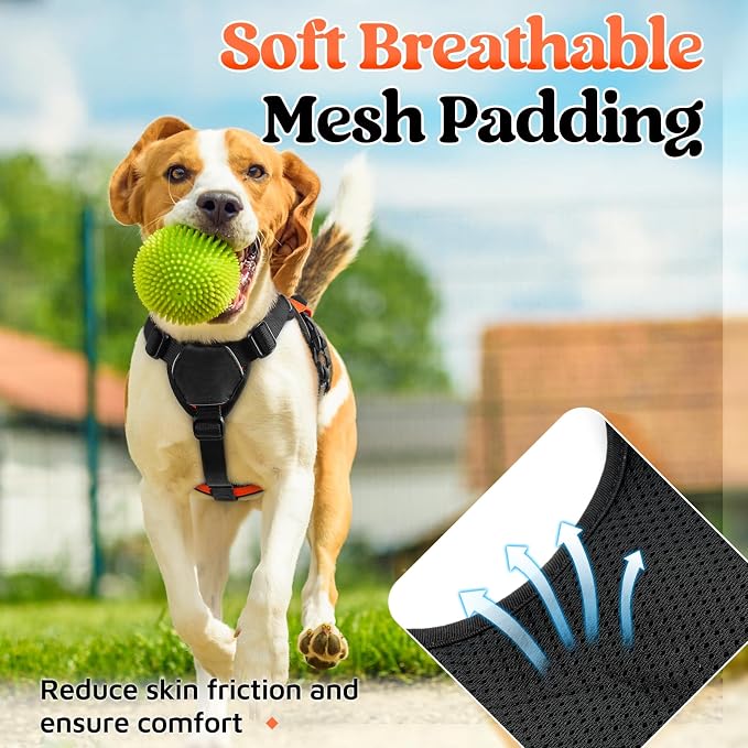 rabbitgoo Escape Proof Dog Harness for Small, No Pull with Lift Handle | No Escape, Full Soft Padded, Reflective Adjustable Vest, Leash Clip for Walking Hiking Training, Orange, Small - Image 6
