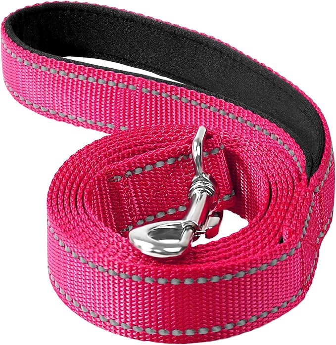 4FT Reflective Dog Leash, Padded Handle for Medium Large Dogs | Comfortable Nylon, Soft Handle Cushioning, Reflective Safety at Night, Training Leash for Park & Hiking (1in, Hot Pink) by Erbine