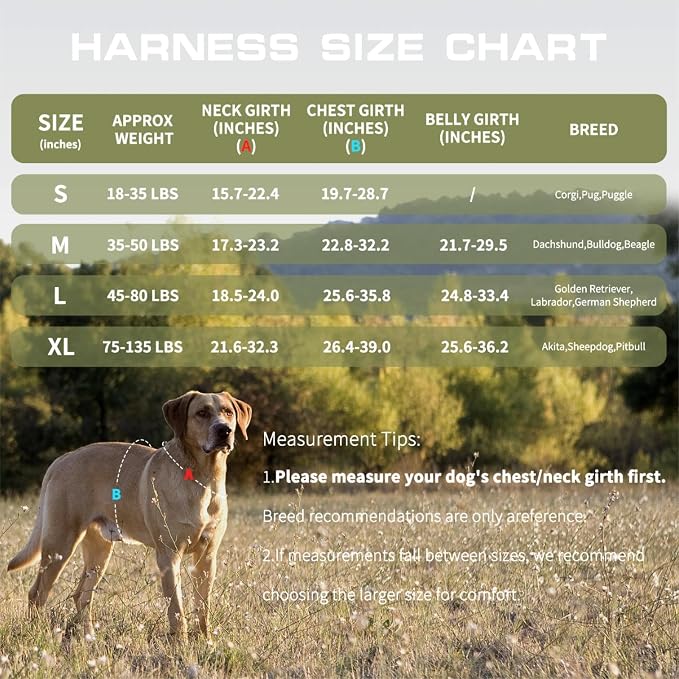 Dog Harness Medium Sized Dog, No Pull Dog Vest with Molle System | Tactical, Easy Control With Handle, Breathable Soft Padded, Adjustable, Reflective, No Choke for Walking, Green Medium - Image 6