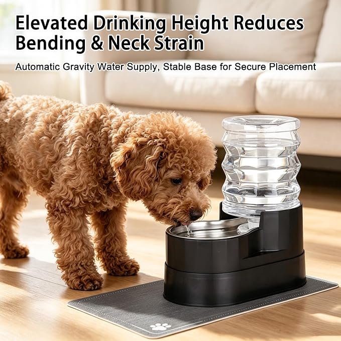 RIZZARI 5L Automatic Cat Water Dispenser: Elevated Filtered Cat Bowl | Durable Construction/Stable Base/Gravity Water Flow/Odor Reduction Filter/Elevated Drinking Position/Ideal for Indoor Spaces - Image 7