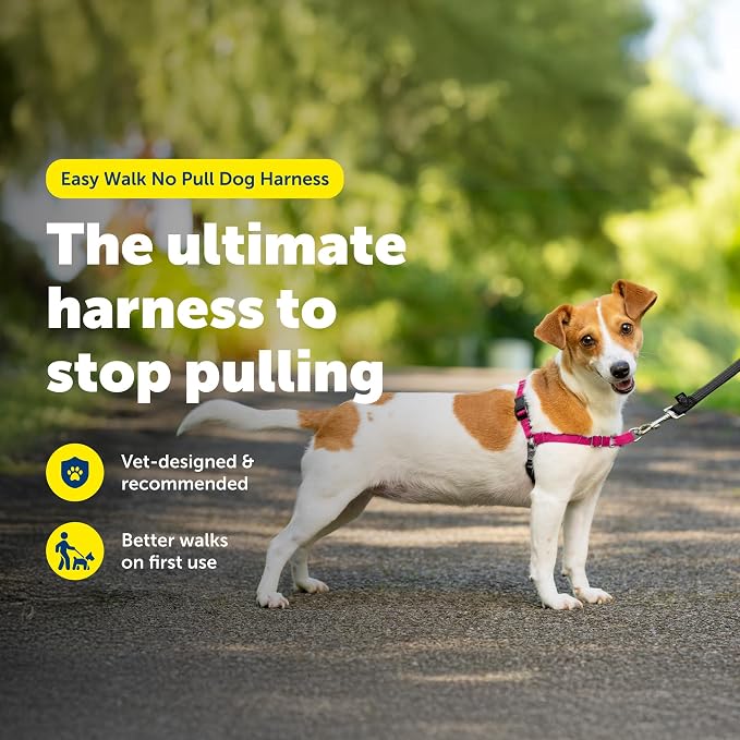 PetSafe Easy Walk Harness, No Pull Dog Harness, Red, Small | Patented Martingale Loop Gives Gradual Shoulder Pressure to Stop Pulling, Front-Chest Leash Clip Prevents Gagging - Image 2