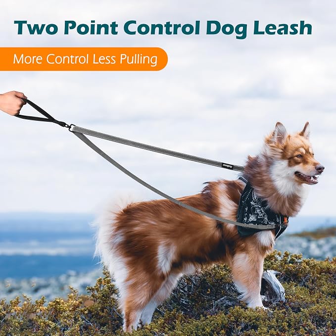 PetBonus Two Point Control Dog Leash, No Tangle Training Walking Leashes | Soft Padded Handle, Reflective, Works with No Pull Harnesses, Converts to Single Lead for Medium Large Dogs, Grey - Image 2
