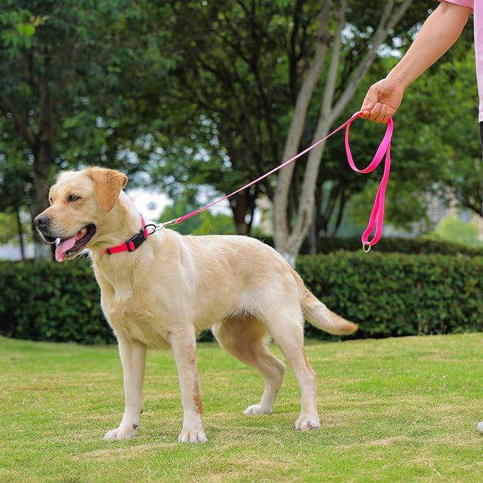 Waterproof Dog Leash, 5/6 FT Durable Odor-Proof Dog Leashes with Strong Metal Hooks Fits Small Medium or Large Dogs (Pink, 5FT - 3/4 inch Width) - Image 6