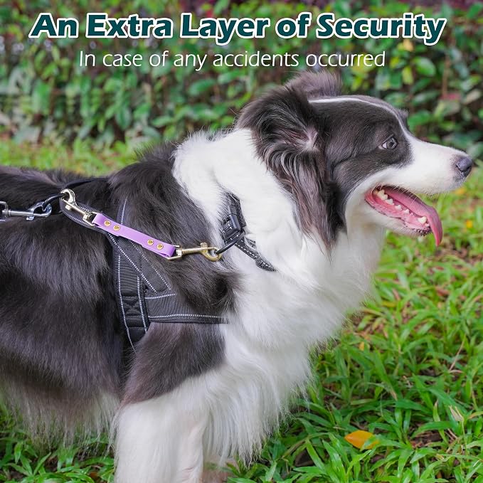 PetBonus Dog Collar Safety Clip, Waterproof Backup Safety Strap | Prong Collar to Harness Connector, Escape Proof, Odor Proof, Easy to Clean, Double Ended Clasp for Training Walking, Purple - Image 4