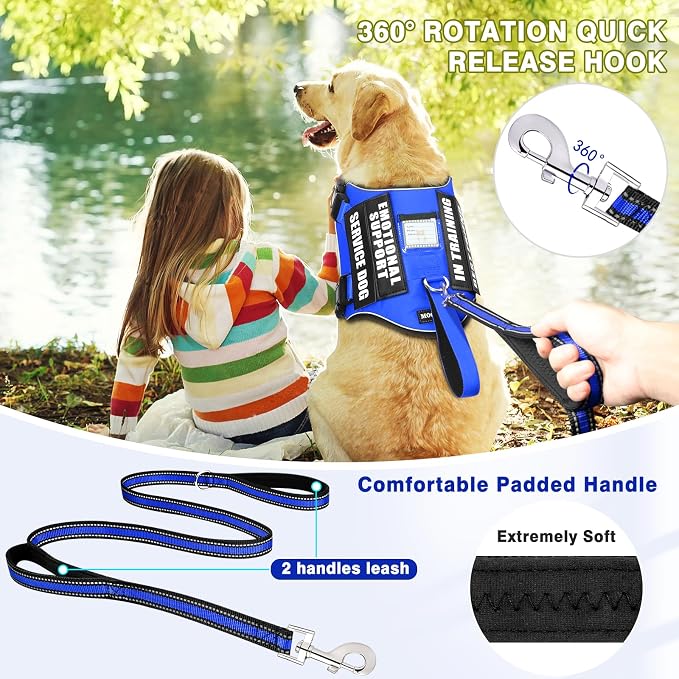 Service Dog Vest Harness and Leash Set+10 Patches,Easy Walk Blue S | No Pull&Adjustable Reflective Dog Harness Small Sized,Dog Leash with 2 Soft Padded Handles,for Training Hiking Walking - Image 2