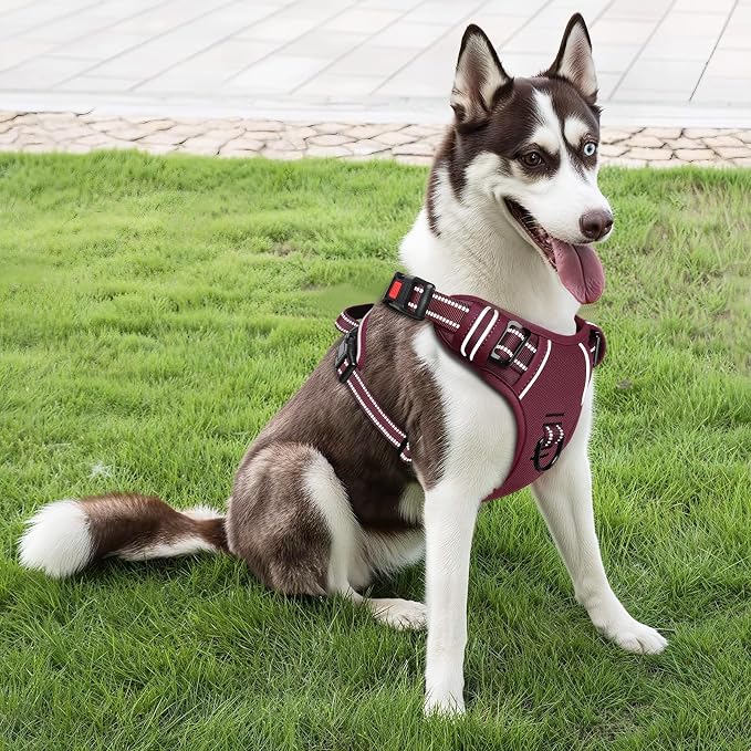 Timos Dog Harness, No Pull Large Sized with 3 Buckles, Burgundy, XL | Reflective, No Choke, Easy On & Off, Adjustable Soft Padded, Front & Back 2 Clips and Control Handle for Walking Training - Image 6