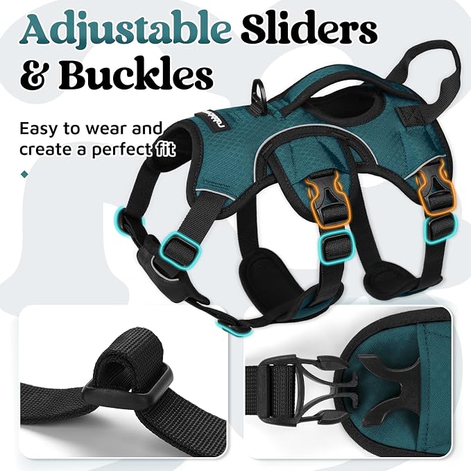 rabbitgoo Escape Proof Dog Harness for Small, No Pull with Lift Handle | No Escape, Full Soft Padded, Reflective Adjustable Vest, Leash Clip for Walking Hiking Training, Dark Green, Small - Image 6
