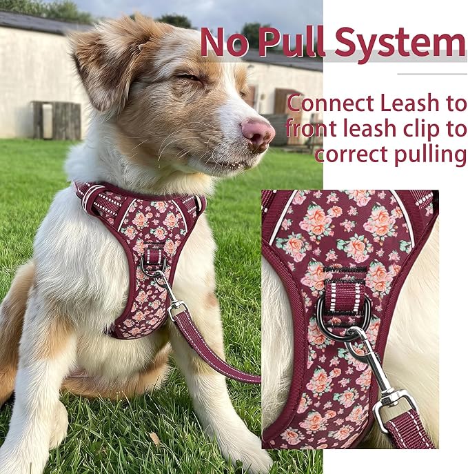 HEELE Dog Harness, Reflective, No Pull No Choke, Flower Burgundy, S | Front Clip for Small Dog Harness, 2 Metal Rings with Handle, Adjustable, Soft Breathable Padded Pet Vest for Night Walking - Image 4