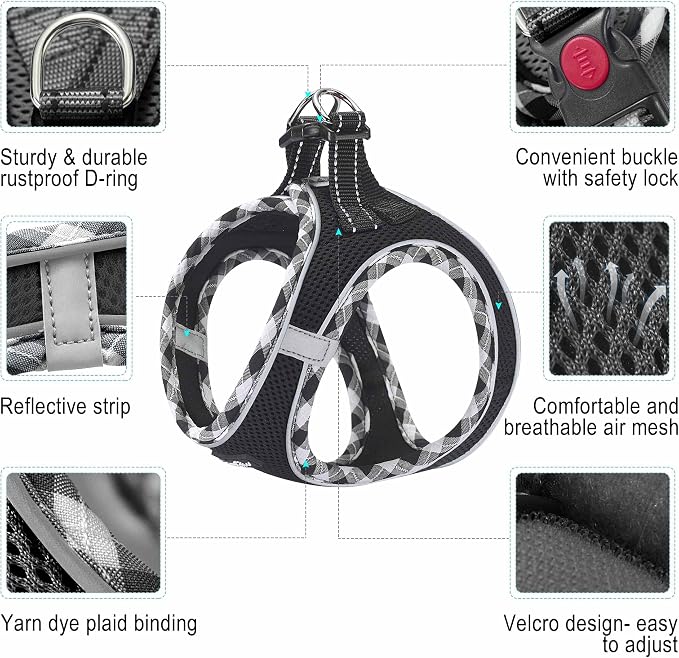 haapaw Dog Harness with Leash Set, No Pull Adjustable Reflective Step-in Puppy Harness with Thickened Padded Vest for Extra-Small/Small Medium Dogs - Image 2