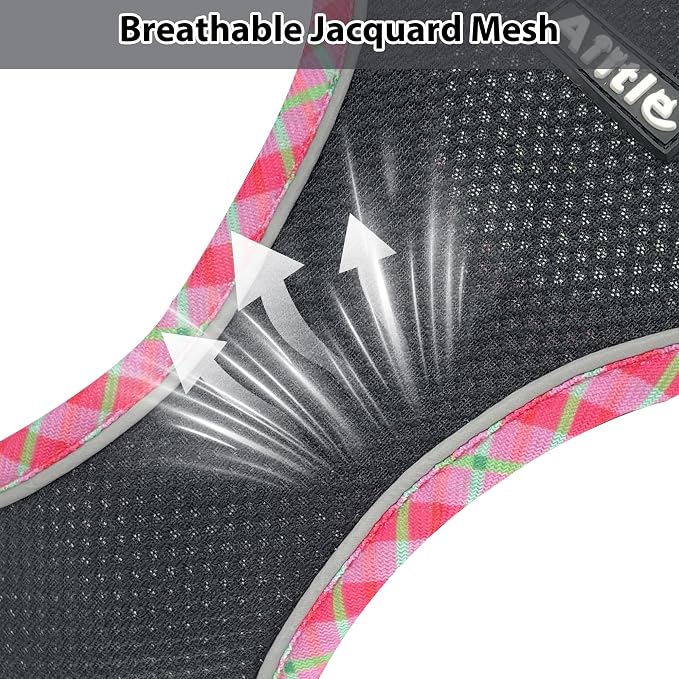 Tiny Dog Harness and Leash Set, Step-in Vest for Puppy, Black XXXS | No Pull Puppy Pet Vest, Breathable Mesh, Reflective Design with High-Stick Magic Tape, Outdoor Use for Chihuahua, Maltese - Image 2