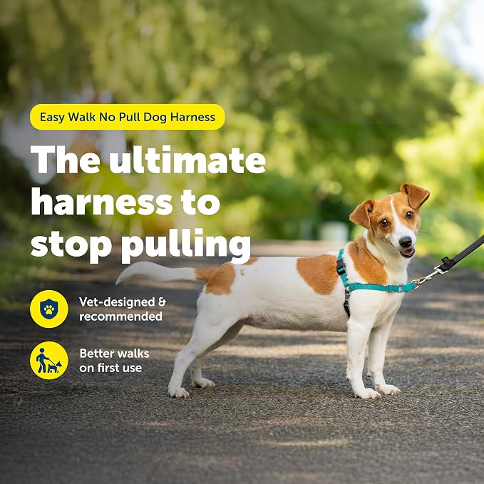 PetSafe Easy Walk Harness, No Pull Dog Harness, Small, Teal | Patented Martingale Loop Gives Gradual Shoulder Pressure to Stop Pulling, Front-Chest Leash Clip Prevents Gagging - Image 2