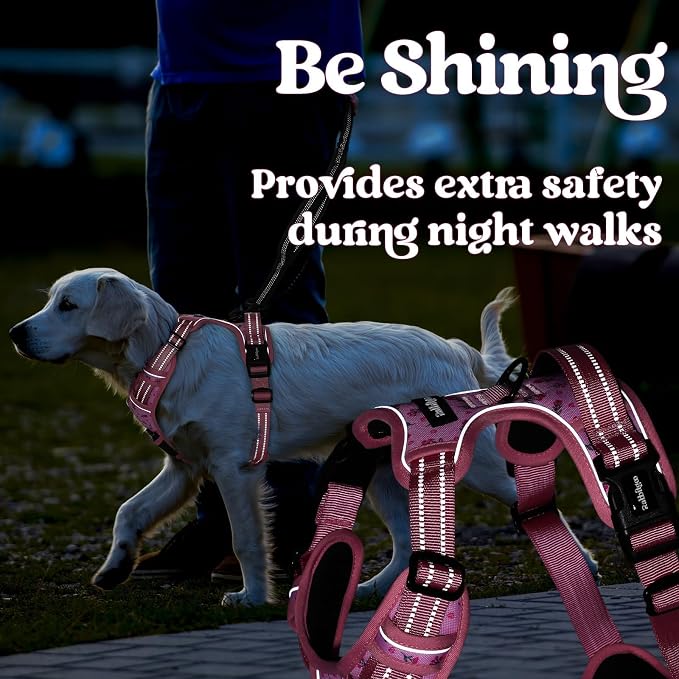 rabbitgoo Dog Harness Small Sized, Updated Easy On & Off with 3 Buckles | No Pull No Choke, Walking with 2 Clips and Handle, Adjustable Soft Reflective, Floral Pink, Small - Image 9