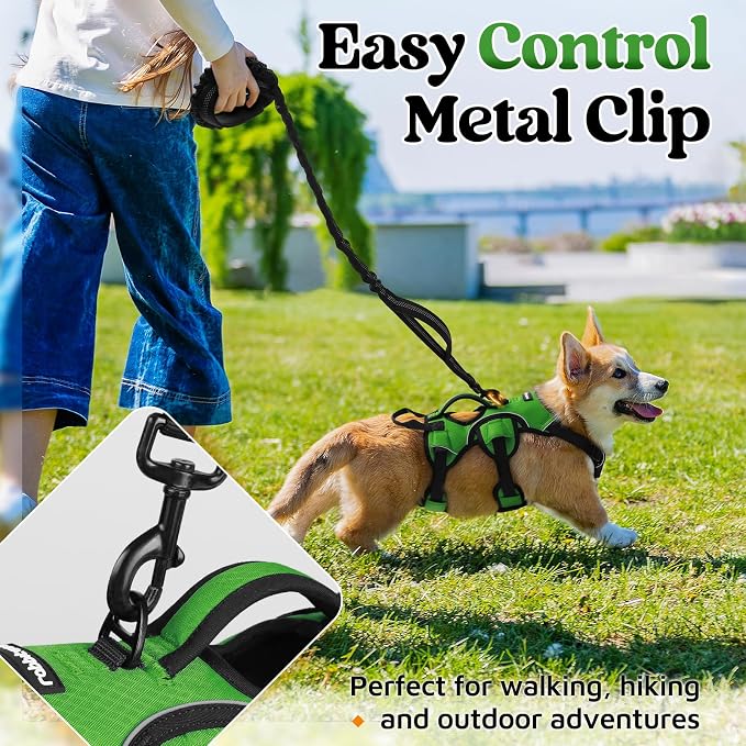 rabbitgoo Escape Proof Dog Harness for Small, No Pull with Lift Handle | No Escape, Full Soft Padded, Reflective Adjustable Vest, Leash Clip for Walking Hiking Training, Green, Small - Image 5
