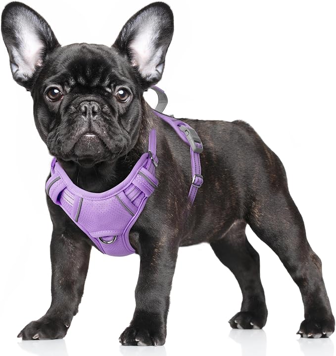 BARKBAY No Pull Dog Harness Large Reflective Dog Harness with Front Clip and Easy Control Handle for Walking Training Running with ID tag Pocket(Violet Purple,S) by BARKBAY