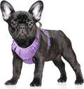 BARKBAY No Pull Dog Harness Large Reflective Dog Harness with Front Clip and Easy Control Handle for Walking Training Running with ID tag Pocket(Violet Purple,S) by BARKBAY