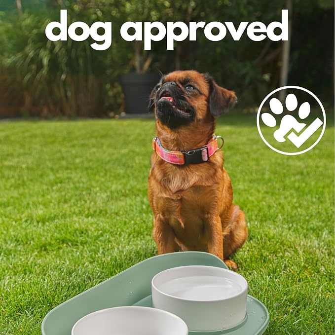 A4DOG Ceramic Dog Bowls with Stand - Elevated Dog Water and Food Bowl Set 13.5oz Cat & Dog Feeding Station Spill Proof Splash Proof Raised Pet Food Bowls for Dogs, No Mess Pet Feeder - Green - Image 8