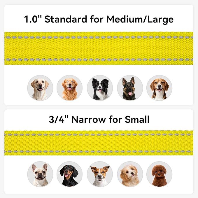 Joytale Reflective Dog Leash for Small Dogs, 5 FT x 3/4", Yellow | Heavy Duty Nylon Webbing, Padded Handle for Comfort, Visible at Night, for Walking & Training - Image 6