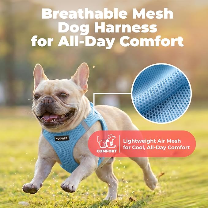 Voyager Step-in Air Dog Vest Harness - Sky Blue, XXX-Small | 11 - 12" in Chest, Reflective Bands, All Weather Breathable Air Mesh, Cats Compatible, Lightweight, Fast Drying - Image 5