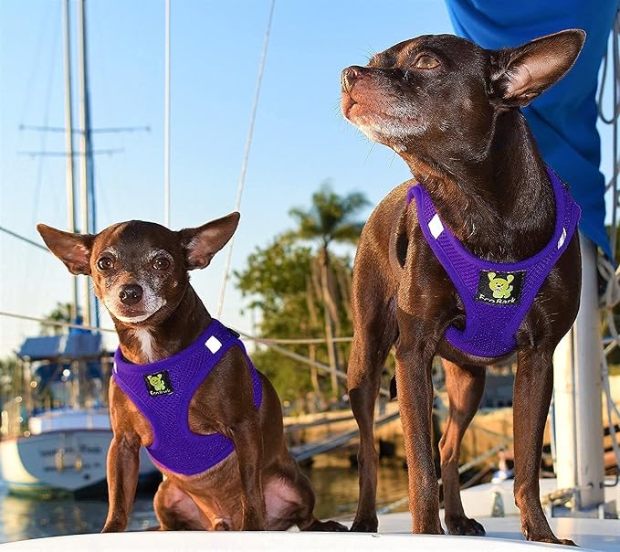 EcoBark Step in Dog Harness, Large, Purple, Adjustable Double Padded Vest | Rapid Fastener, Super Comfort No Pull & No Choke Breathable Soft Mesh, Escape Proof Recycled Strap Dog Halter Harness - Image 9