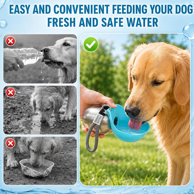 2 in 1 Portable Dog Water Bottle for Dogs,10oz Stainless Steel Portable Dog Water Bottle with Foldable Silicone Bowl, Leak-Proof 2 in 1 Portable Tumbler for Small Dog & Puppy Walking Hiking Outdoor - Image 6