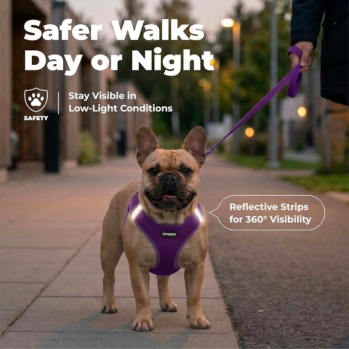 Best Pet Supplies Voyager Step-in Air Harness - All Weather Mesh, Reflective, No Pull Harness for Dogs, Cats - Secure with Hook & Loop Fastener, Buckle, Double D-Rings - Purple, XXS - Image 4