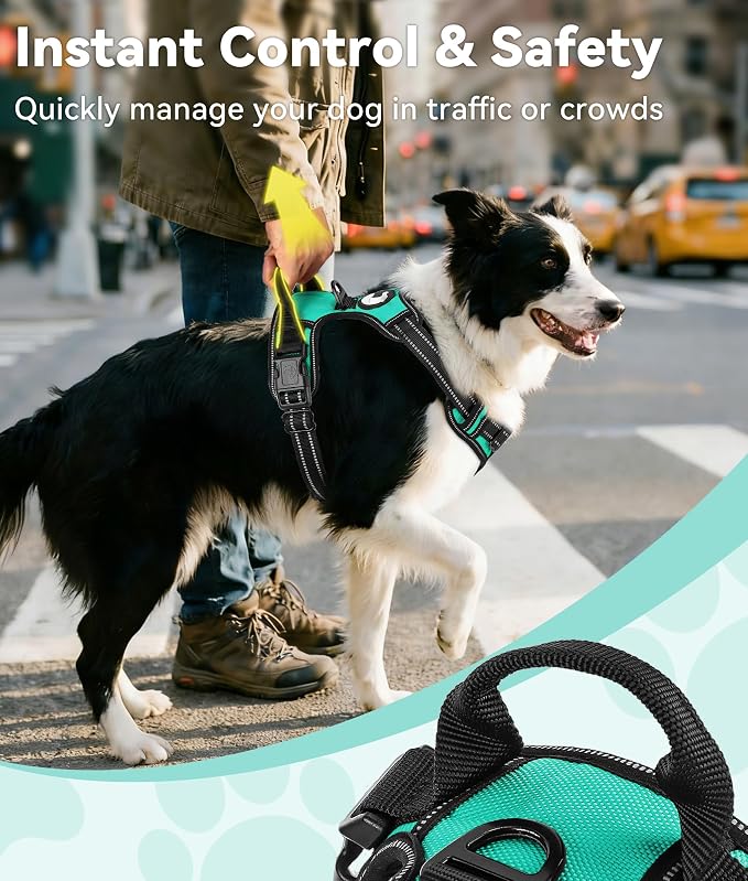 Joytale No Pull Dog Harness Medium Sized Dog, Front Clip, Teal | Grab Handle for Instant Control, Padded & Adjustable Vest, Sturdy Metal D-Rings, for Safe Training & Daily Walking - Image 3