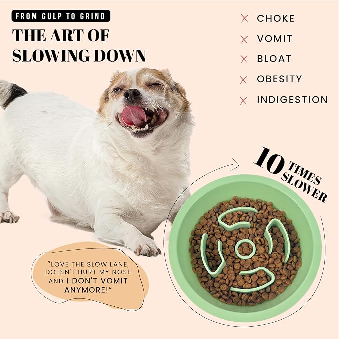 AVERYDAY Slow Feeder Dog Bowls for Medium Breeds Fits Raised Feeding Station, Puzzle Dog Food Bowls to Slow Down Eating, Dogs Feeding Bowl with Non-Slip, Slows Feeder Pet Bowl for Wet and Dry Food - Image 2