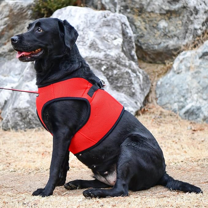 PUPPIA International Puppia Harness Soft B Vest RED Large - Image 4
